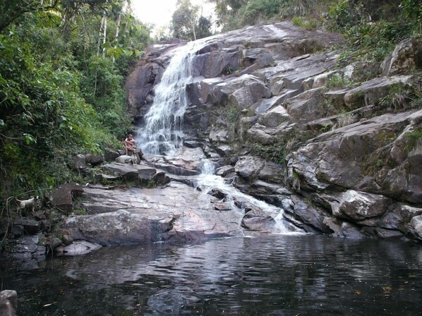 Una cascada se precipita sobre rocas hacia una poza rodeada de vegetación exuberante.