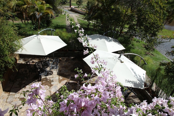 Terras