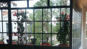 Una habitación con un ventanal grande, una araña y plantas en macetas.
