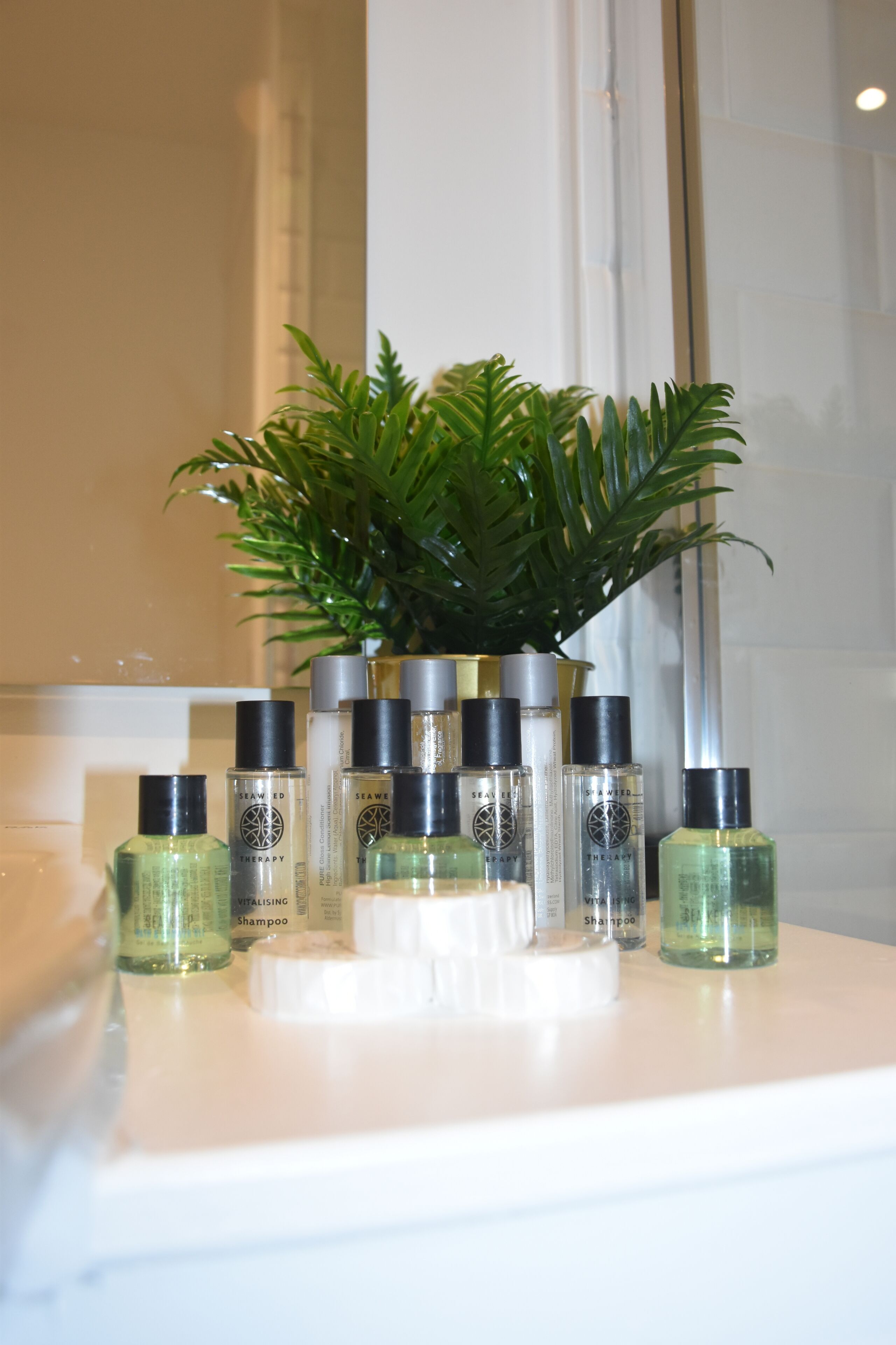 Una encimera de baño con una planta y varias botellas de champú.