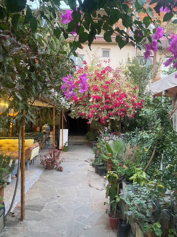 A stone-paved courtyard with potted plants and a wooden pergola.