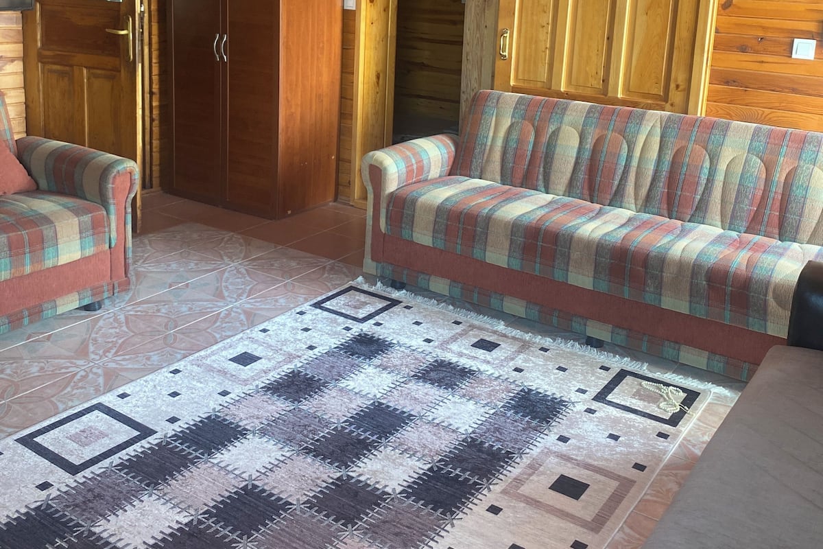 Ein Holzhaus-Interieur mit einem Karo-Sofa, einem passenden Sessel, einem gemusterten Teppich und einem Holzschrank.