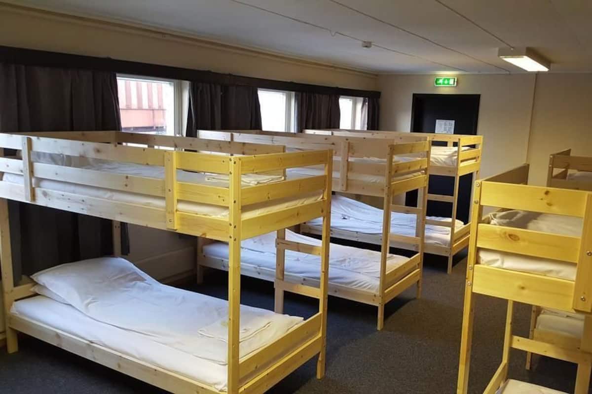 Dortoir Partagé, dortoir mixte (Single Bed in Dormitory)