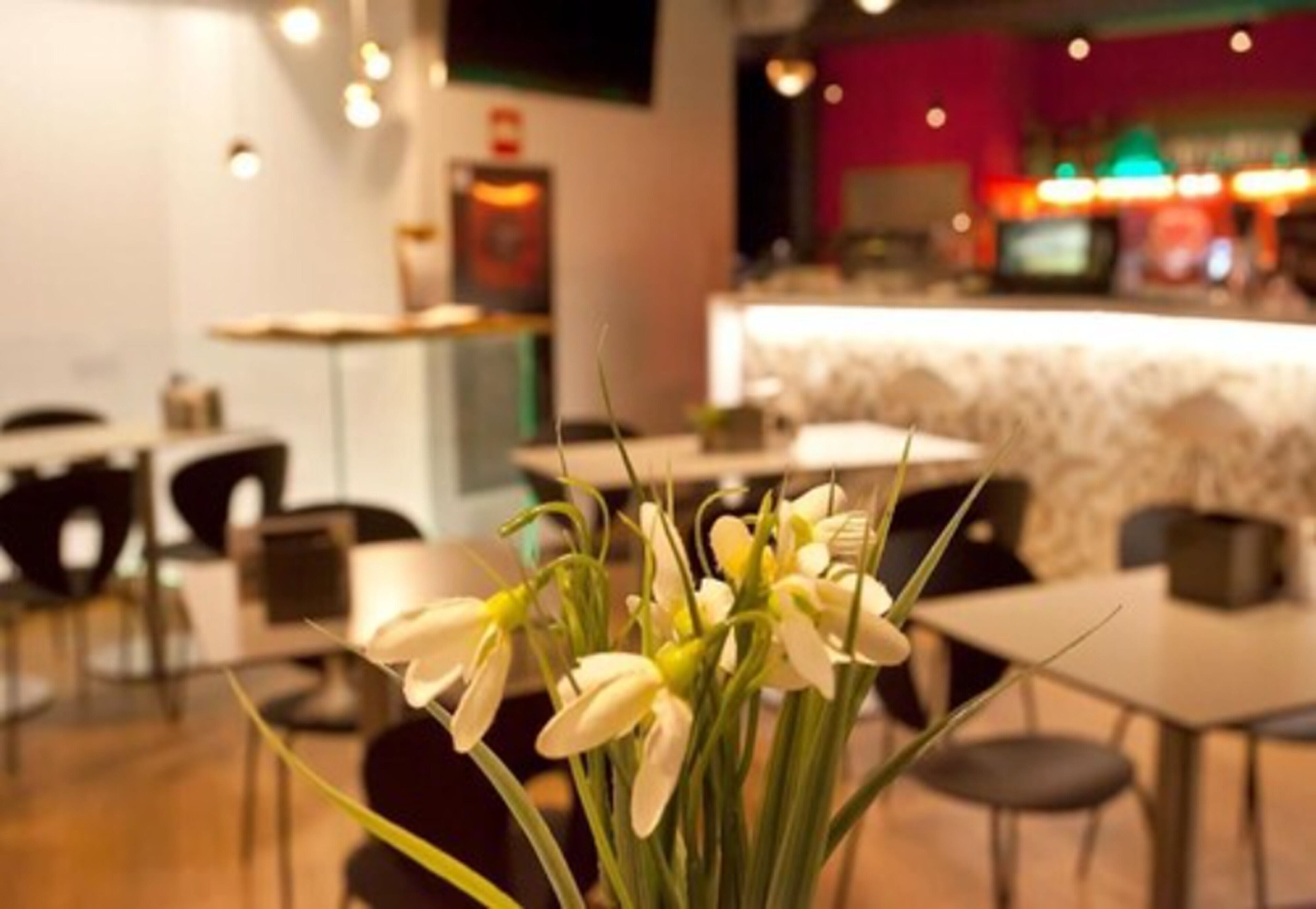 Interior de restaurante con mesas y sillas, una barra y una planta decorativa en primer plano.