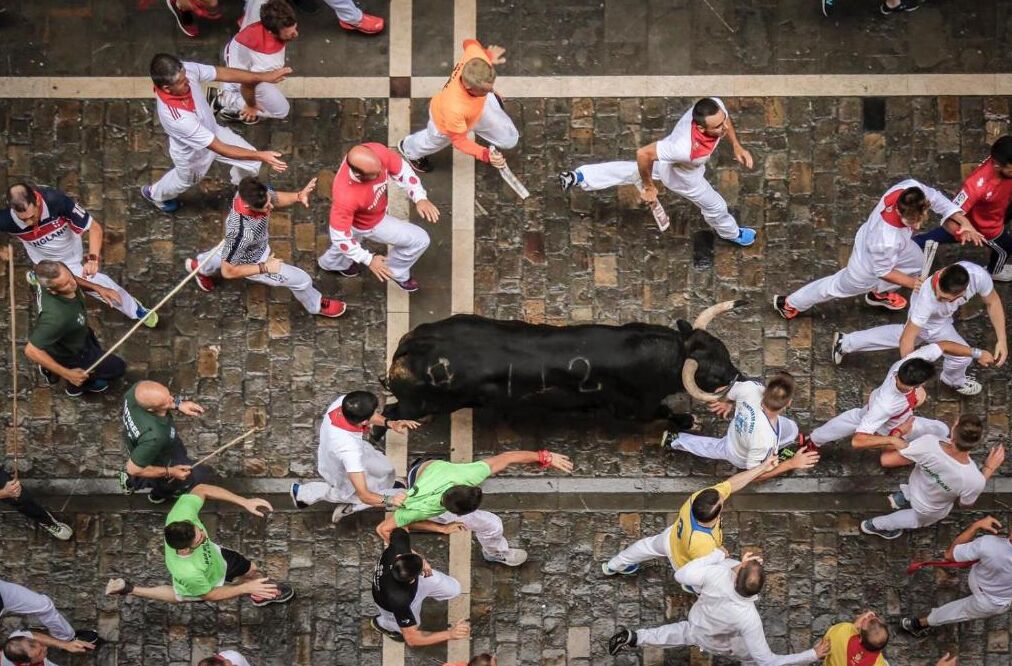 Un toro al centro, circondato da persone in diverse uniformi.