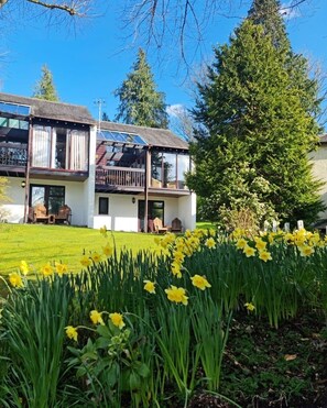 A two-story house with a balcony, a lawn with daffodils, and a large tree in the background.