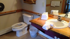 A bathroom with a toilet, sink, and mirror.
