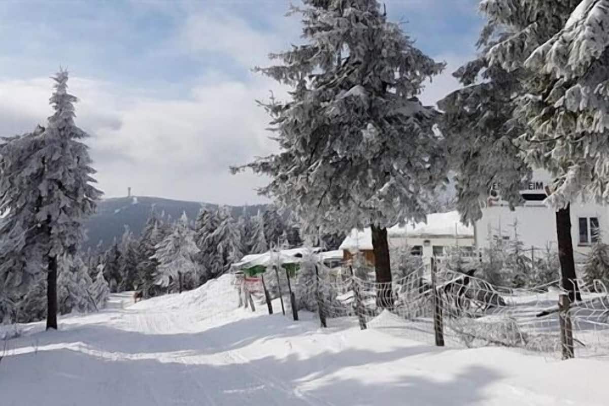 A snowy landscape with snow-covered trees and a building with a sign that reads "EIM".