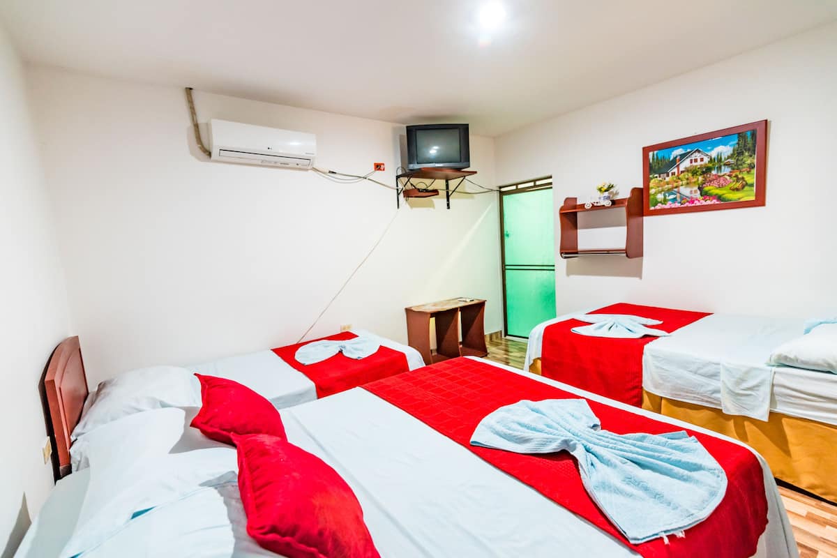 A hotel room with two beds, a television, an air conditioner, a painting, and a small table with a vase.