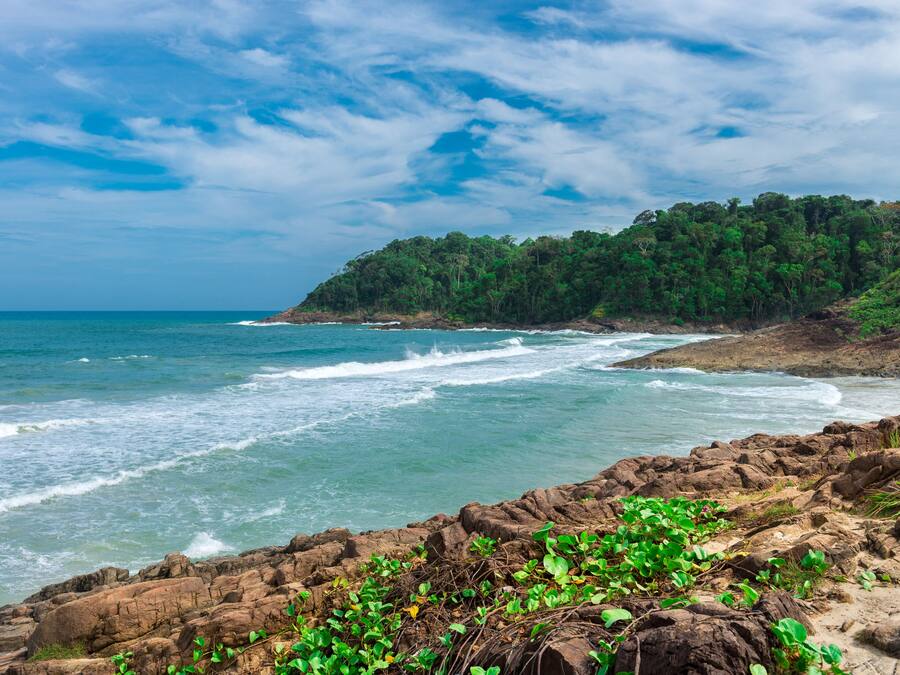 A coastal landscape with rocky terrain and dense green foliage.
