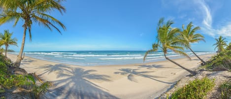 Una spiaggia nelle vicinanze