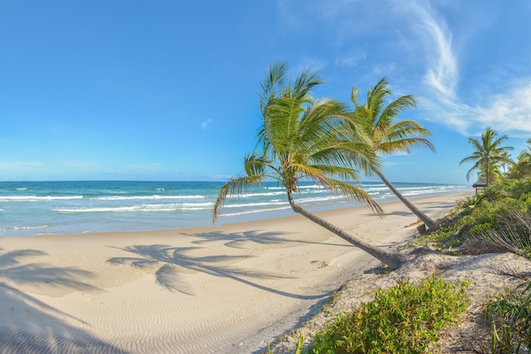 Beach nearby, white sand