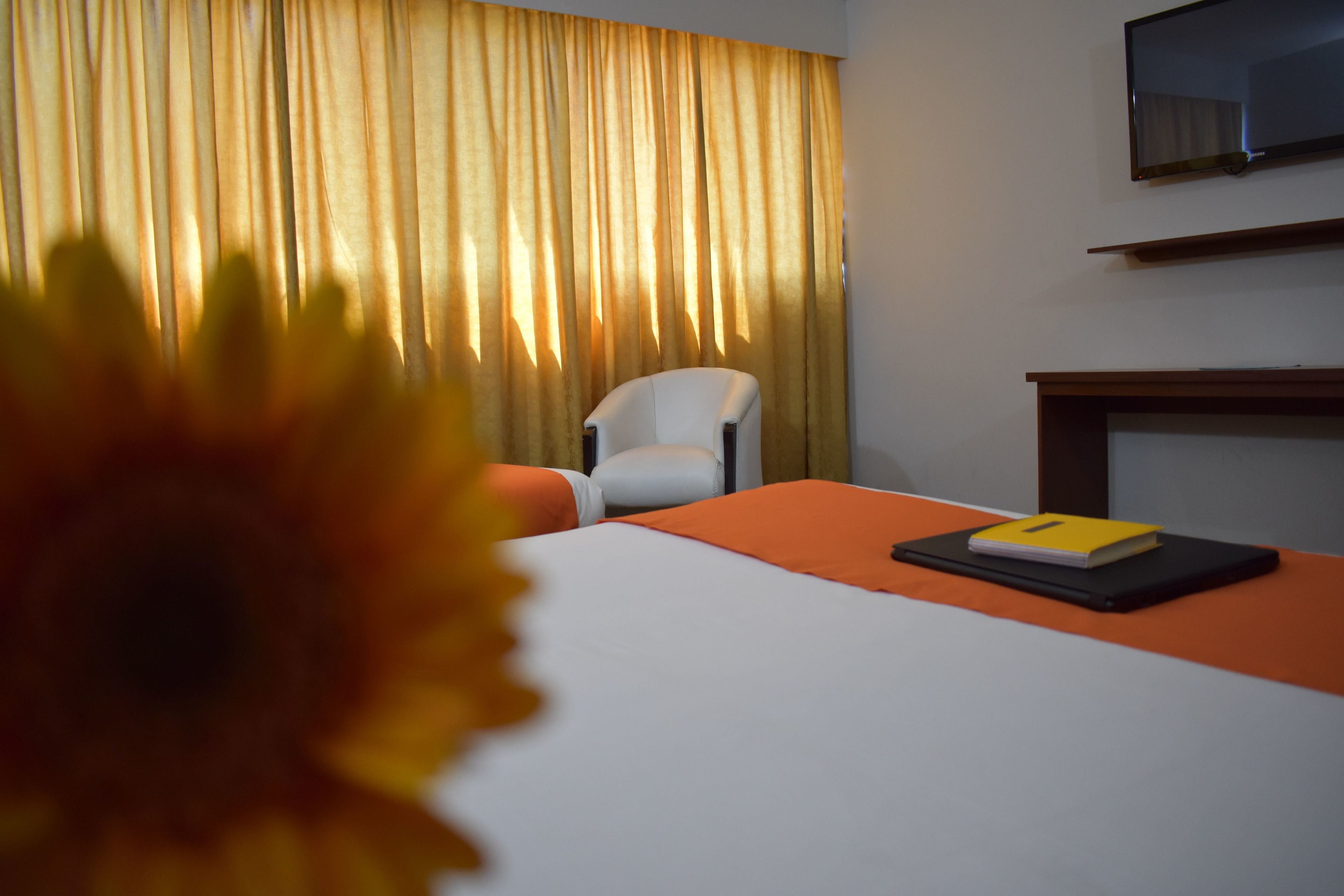 Standard Room, Private Bathroom, Tower | Premium bedding, in-room safe, desk, rollaway beds
