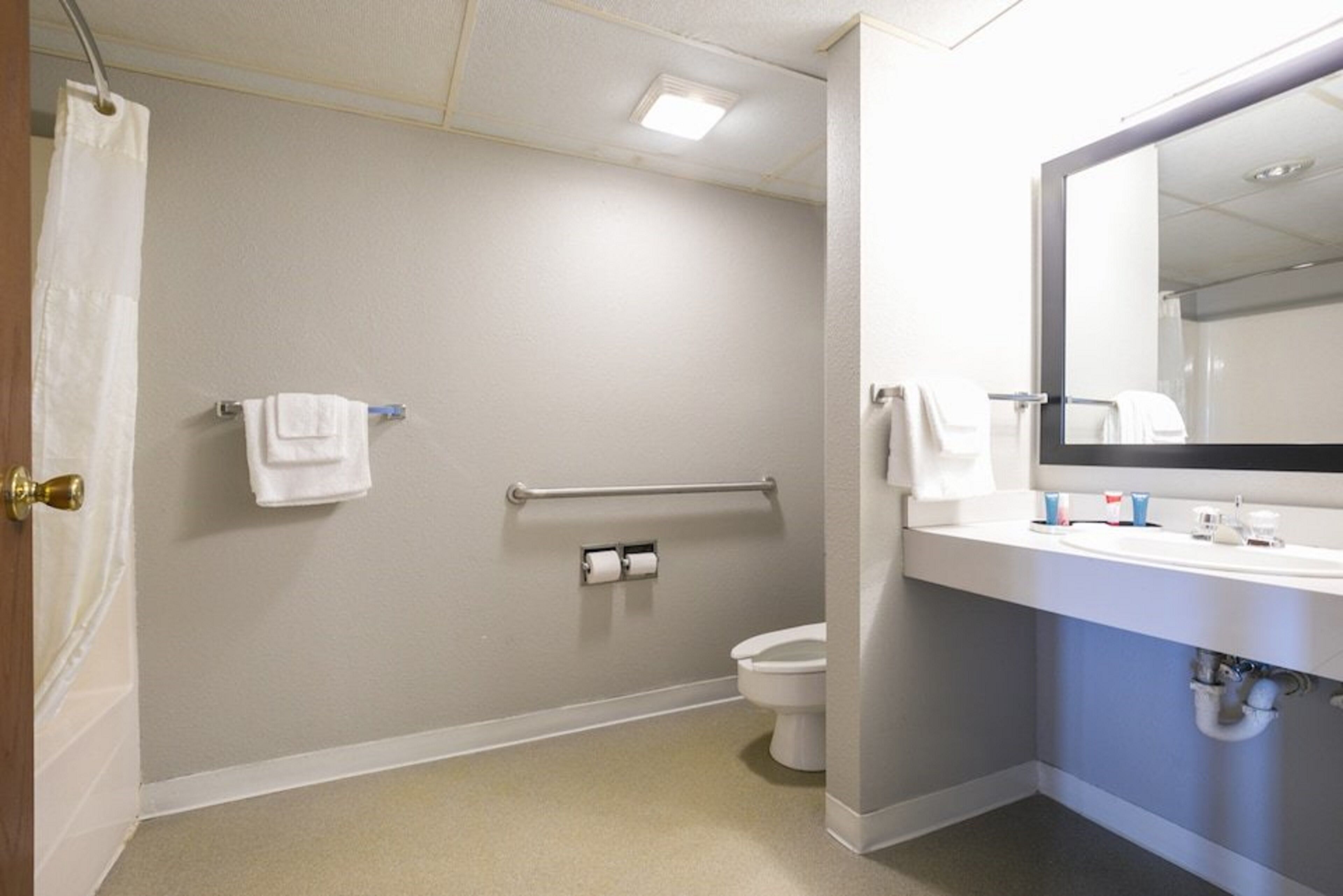 Une salle de bain comprenant des toilettes, un lavabo avec un miroir, un porte-serviettes et un rideau de douche.