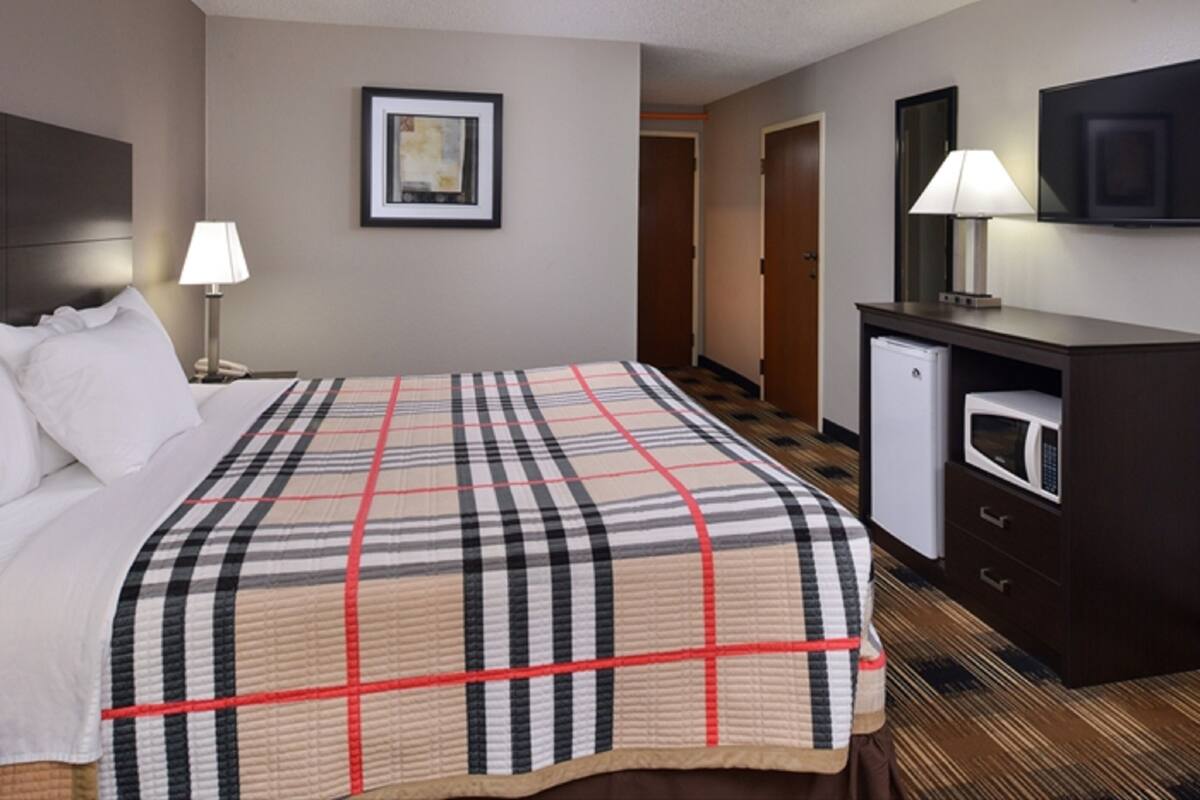 A hotel room with a bed, a bedside lamp, a television, a microwave, and a framed picture on the wall.