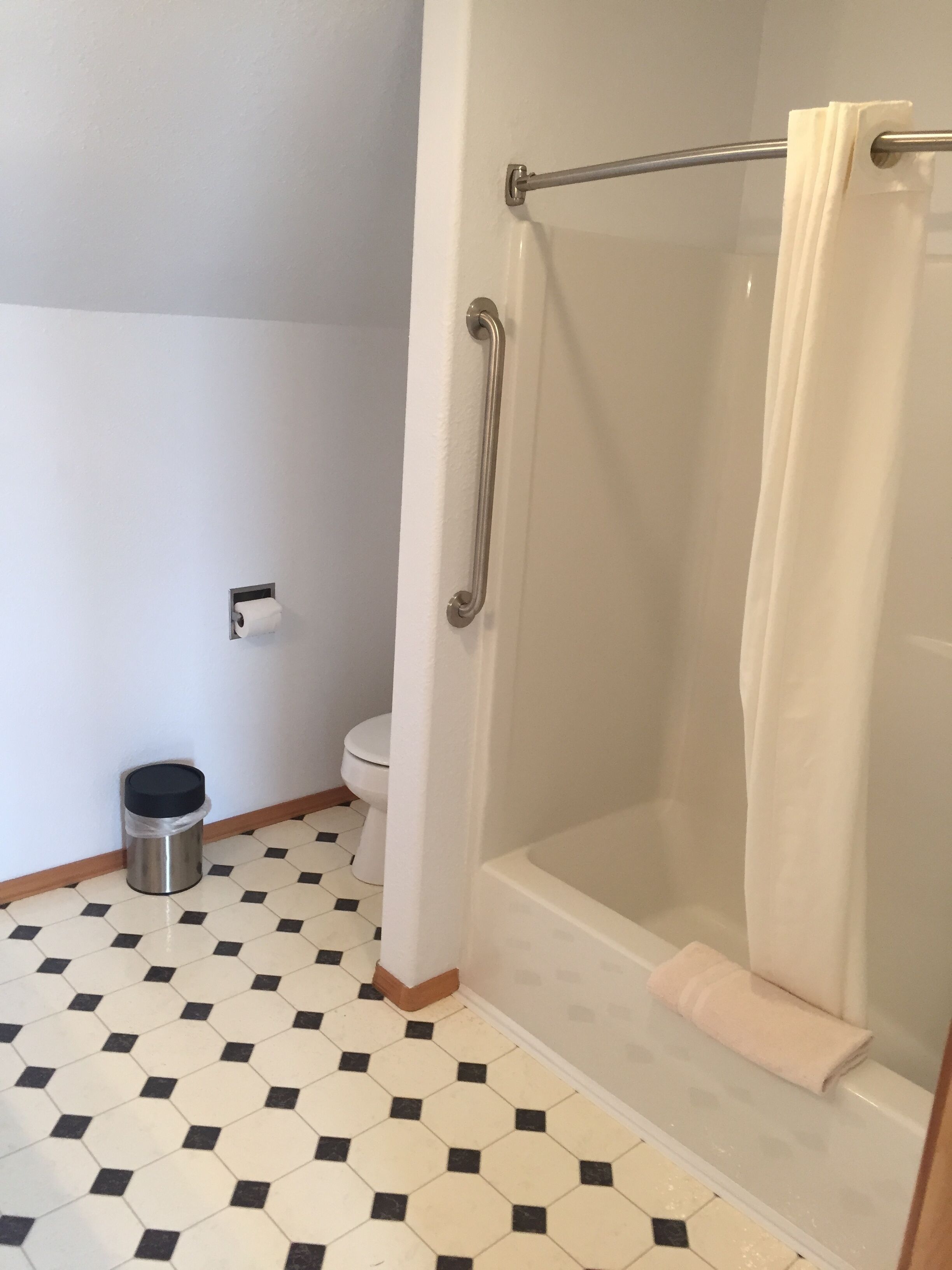 A bathroom with a shower, toilet, and a trash can.