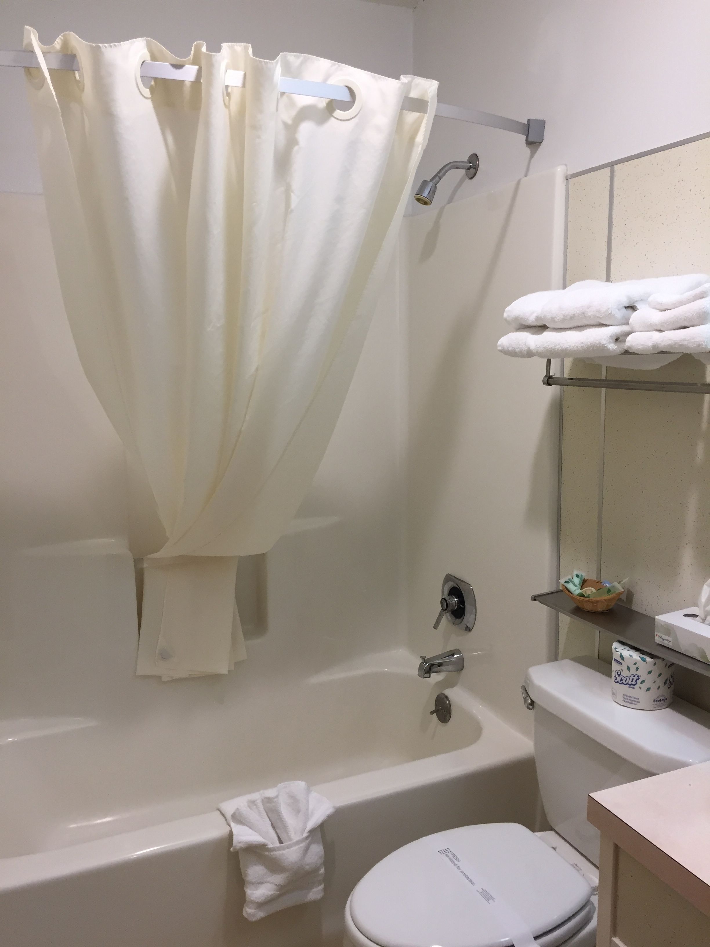 A bathroom with a bathtub, toilet, and a shower curtain.