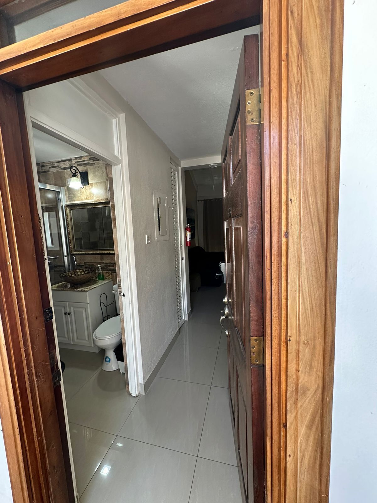 A hallway with a wooden door, a white toilet, and a sink with a bowl.