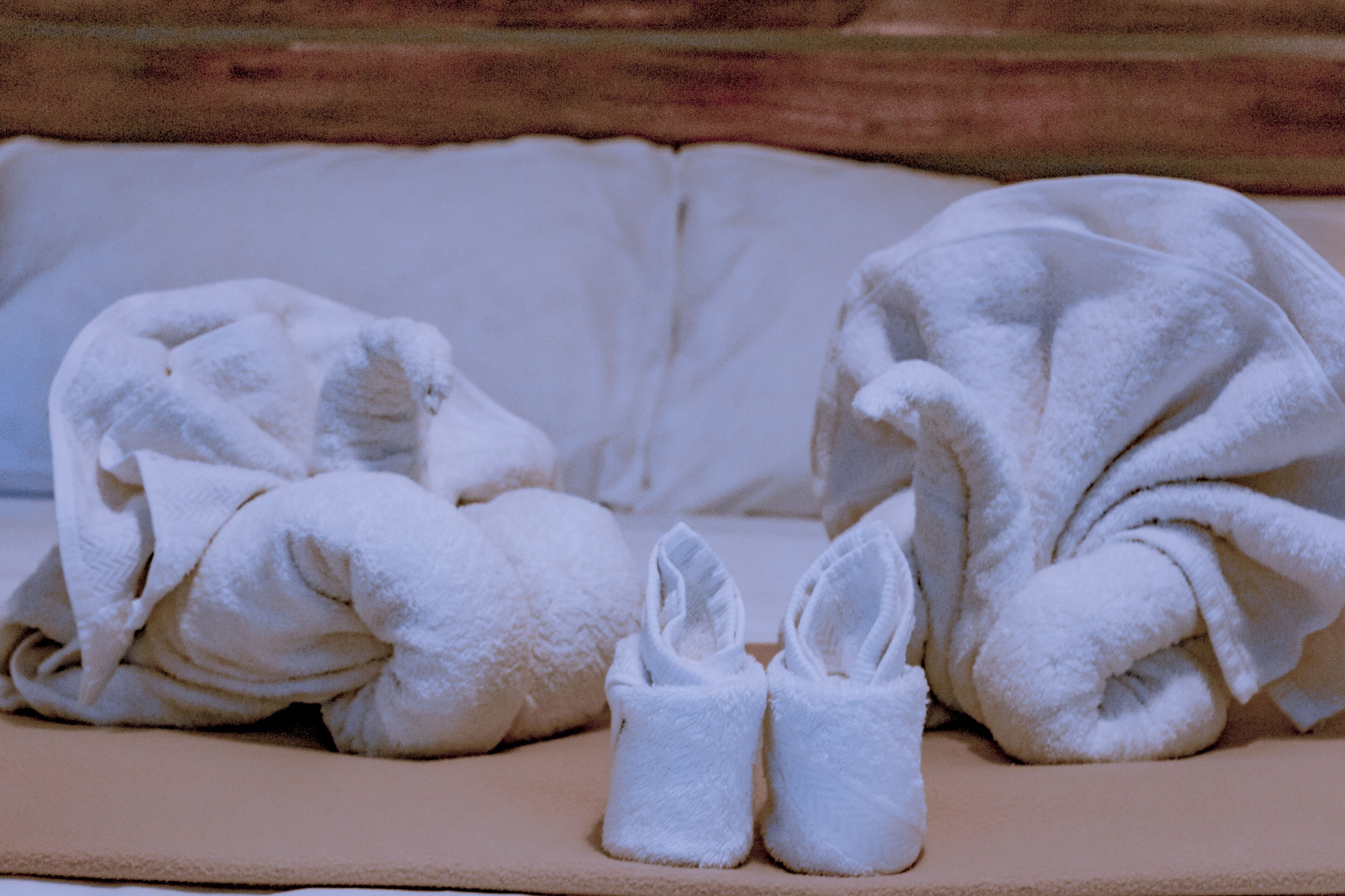 executive room | balcony