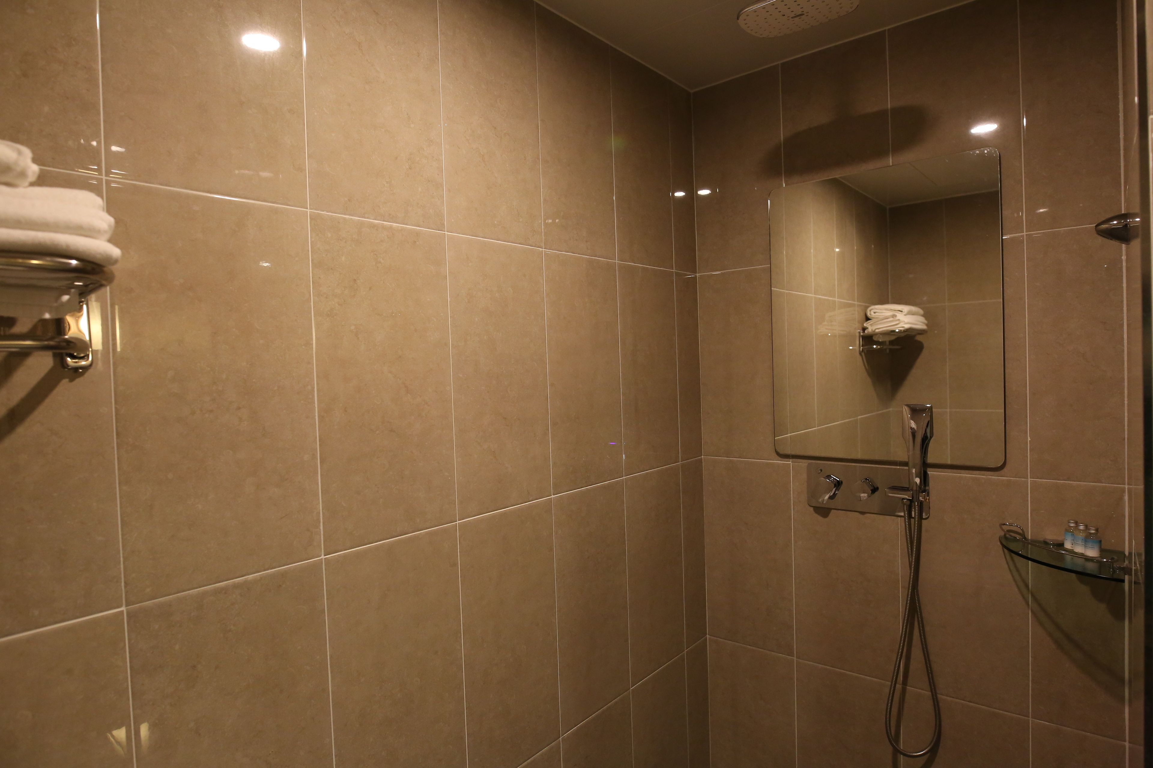 standard double room | bathroom shower