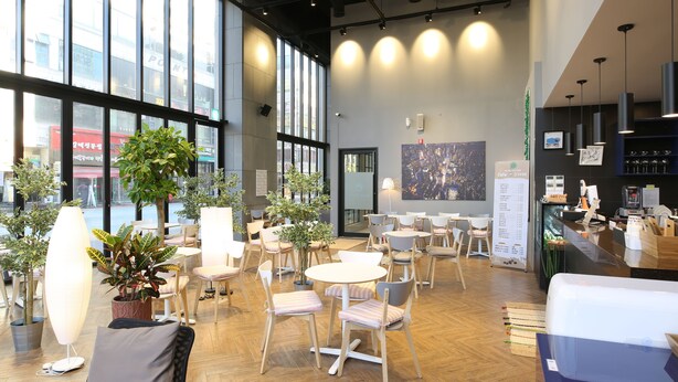 Un espacio interior amplio con varias opciones de asientos, ventanas grandes y plantas de interior.