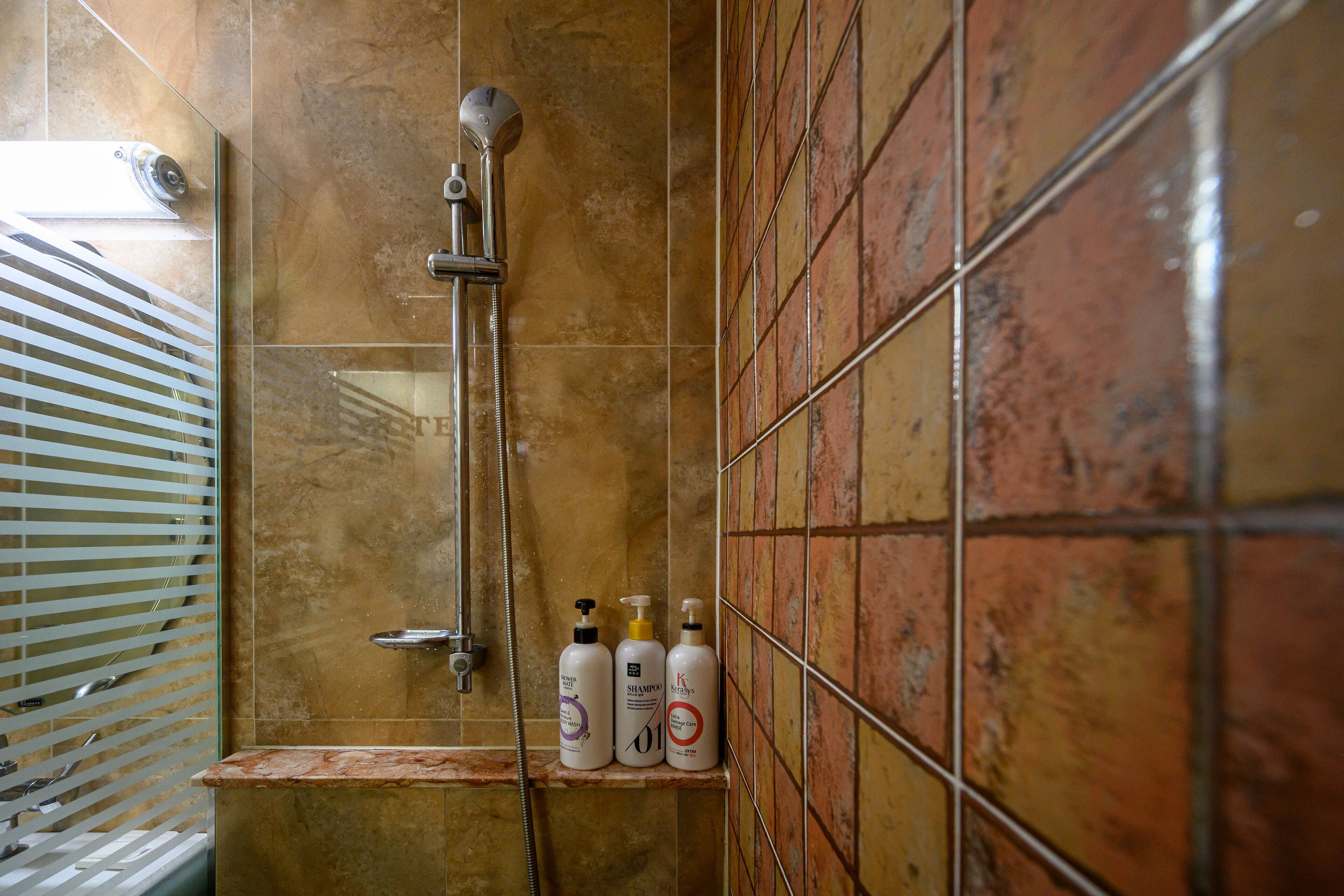 Un baño con ducha, un estante con artículos de aseo y una pared con azulejos.