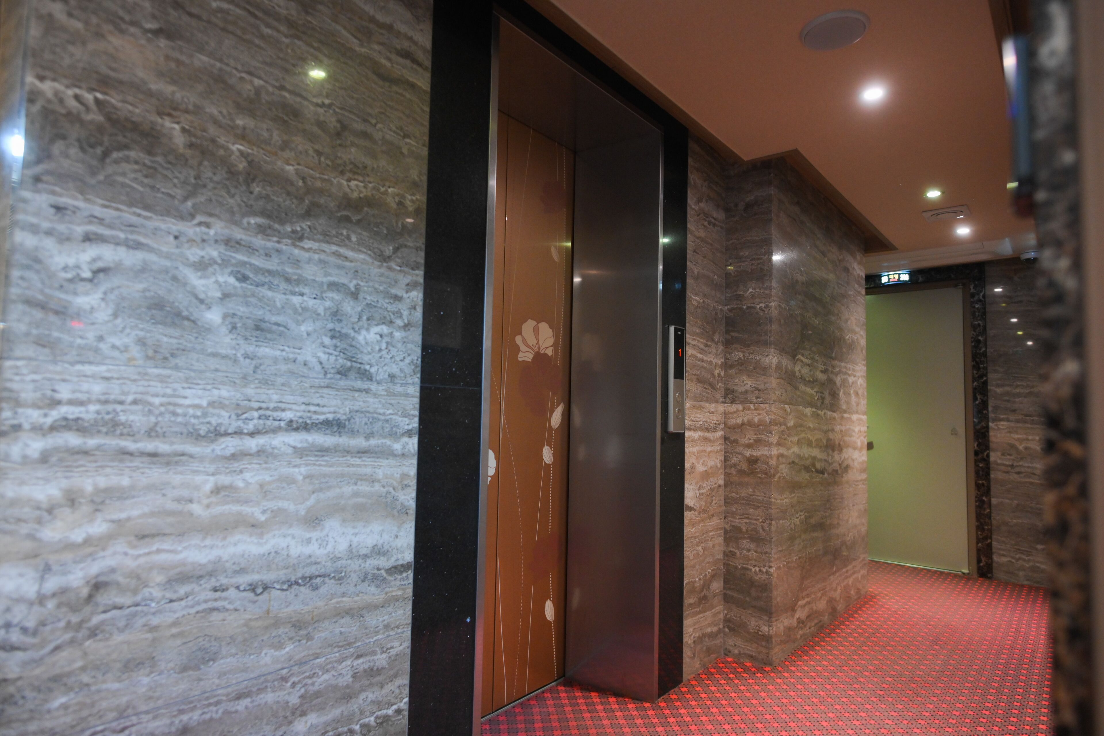 A hallway with a marble wall, a wooden door with a floral design, and a red patterned carpet.