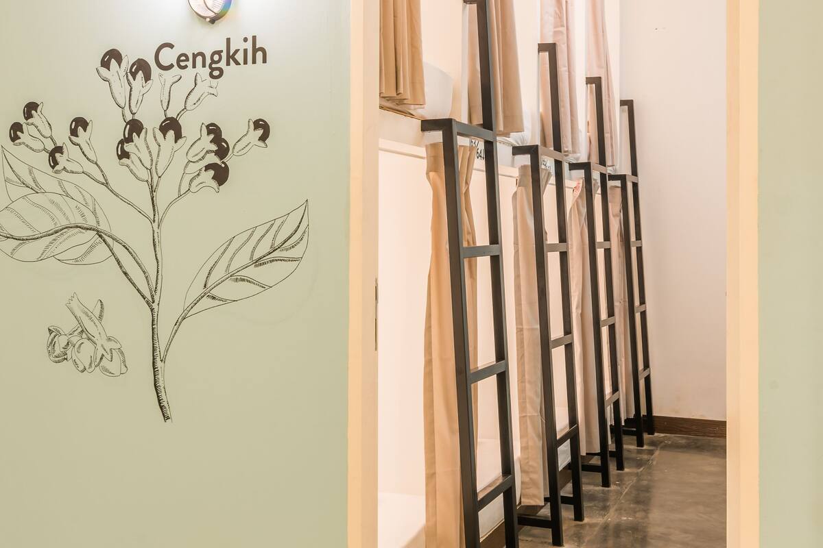 Un pasillo con literas, una lámpara de pared y un dibujo de una planta etiquetada como 'Cengkih'.