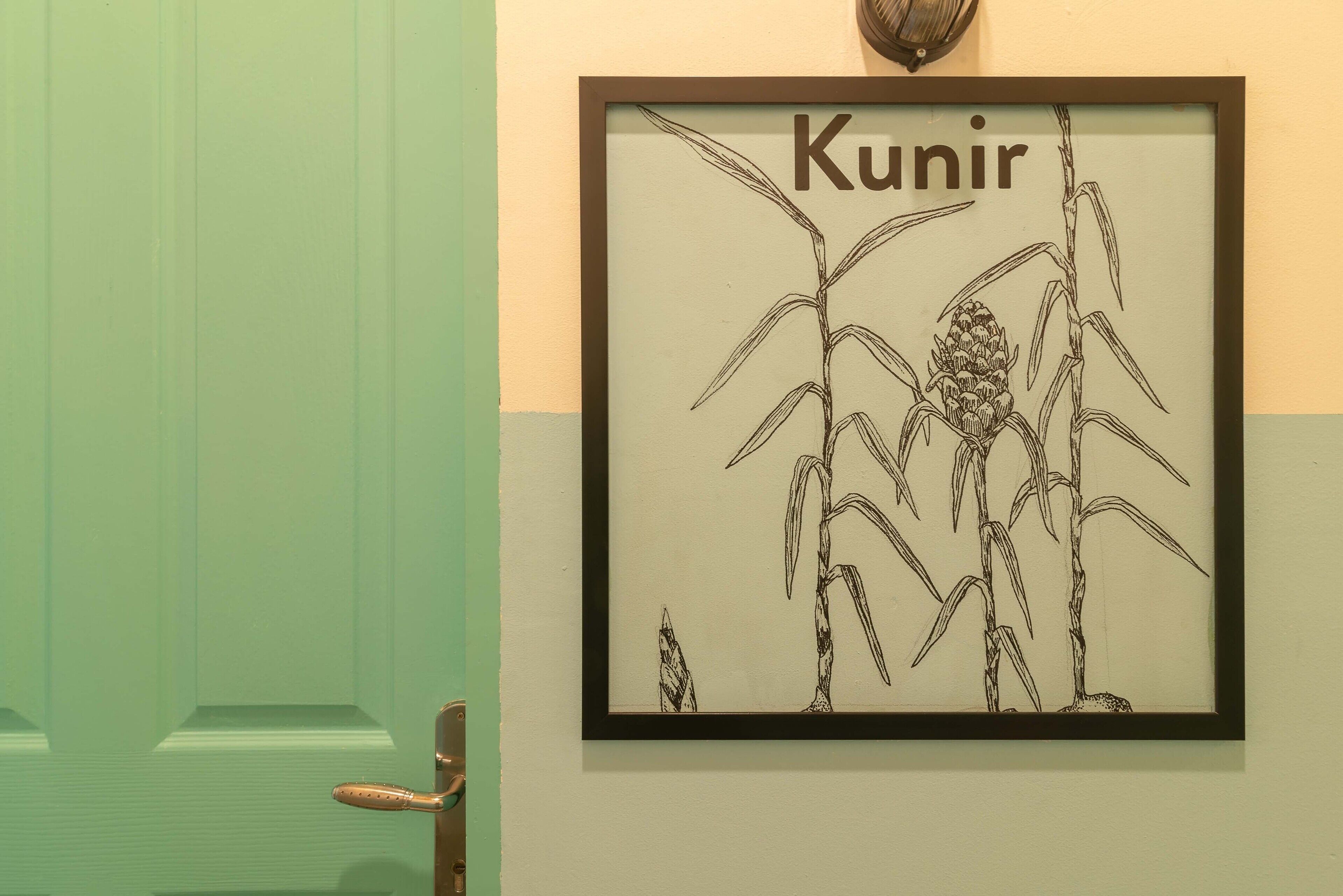 A framed botanical illustration with the word "Kunir" on a wall.