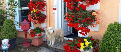 Majoituspaikan sisäänkäynti