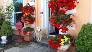 Unclassified image, 4 of 70, button - Min y Don Guest House 5 Gold (Llanfairfechan)