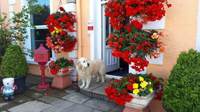 Min y Don Guest House 5 Gold