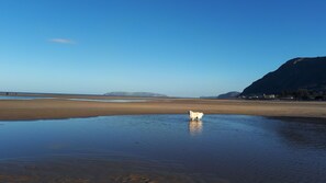 Beach - Min y Don Guest House 5 Gold (Llanfairfechan)