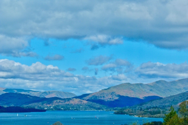Single Room, Ensuite (Brantfell) | View from room