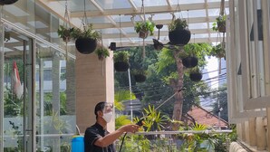 Une véranda agrémentée de jardinières suspendues, dotée de murs en verre et d’un espace salon extérieur.