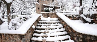 메날랴 빌라스 & 스위츠