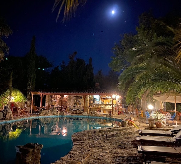 Outdoor pool, pool umbrellas, pool loungers