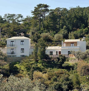 Exterior - OLIVIA VILLAS (Ikaria)