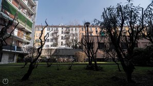A courtyard with a grassy area, trees, and a building with multiple balconies and windows. - Italianway   - Pastorelli (Milan)