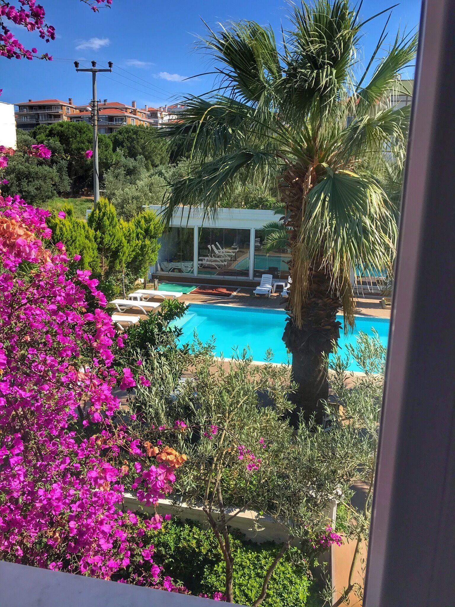 Pool | Outdoor pool