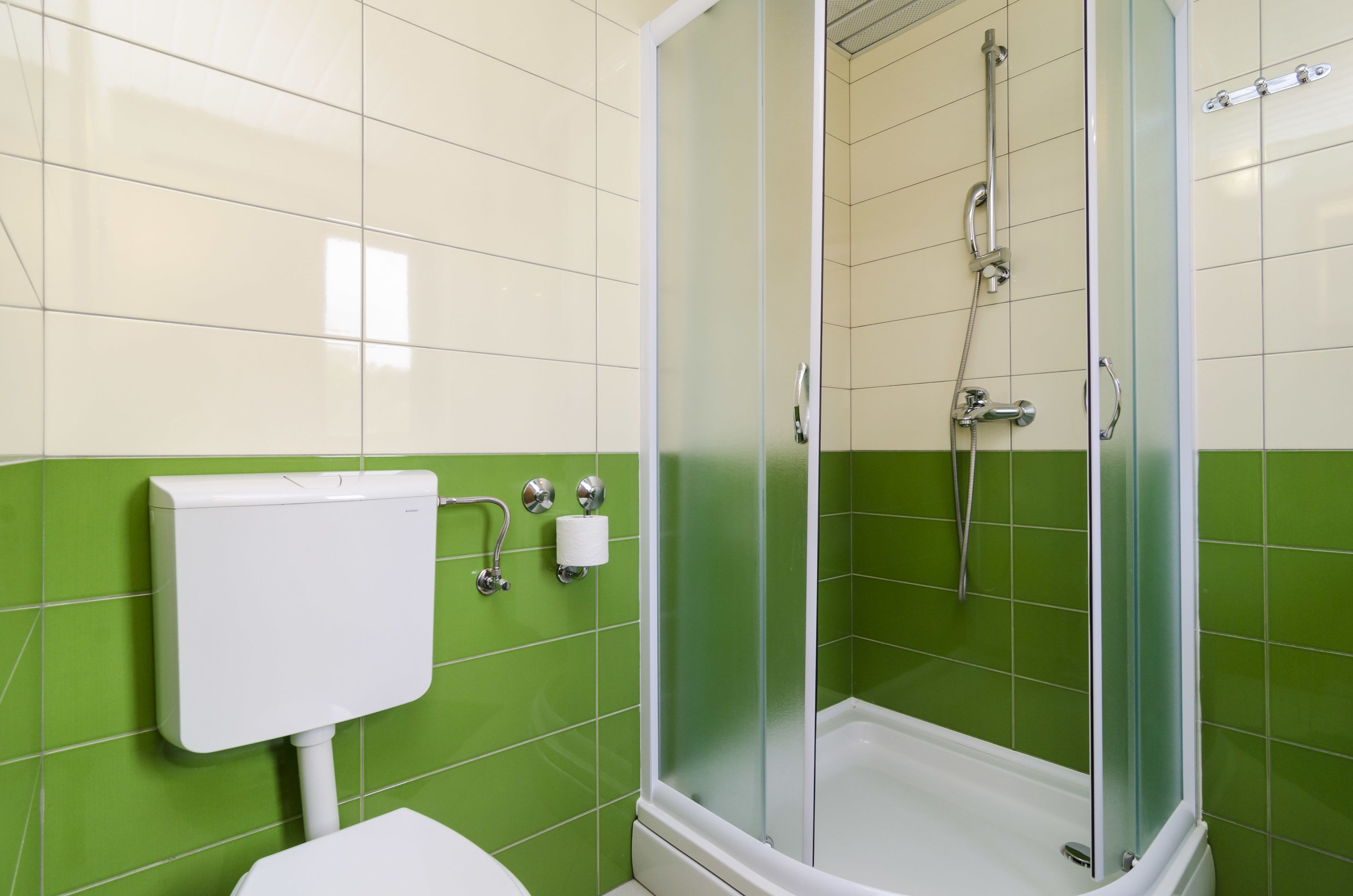 A bathroom with a toilet, a glass-enclosed shower, and a green-tiled wall.