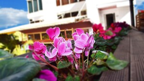 Exterior detail - Royal Vila Hotel (Tirana)