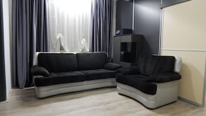 Deluxe Apartment, City View