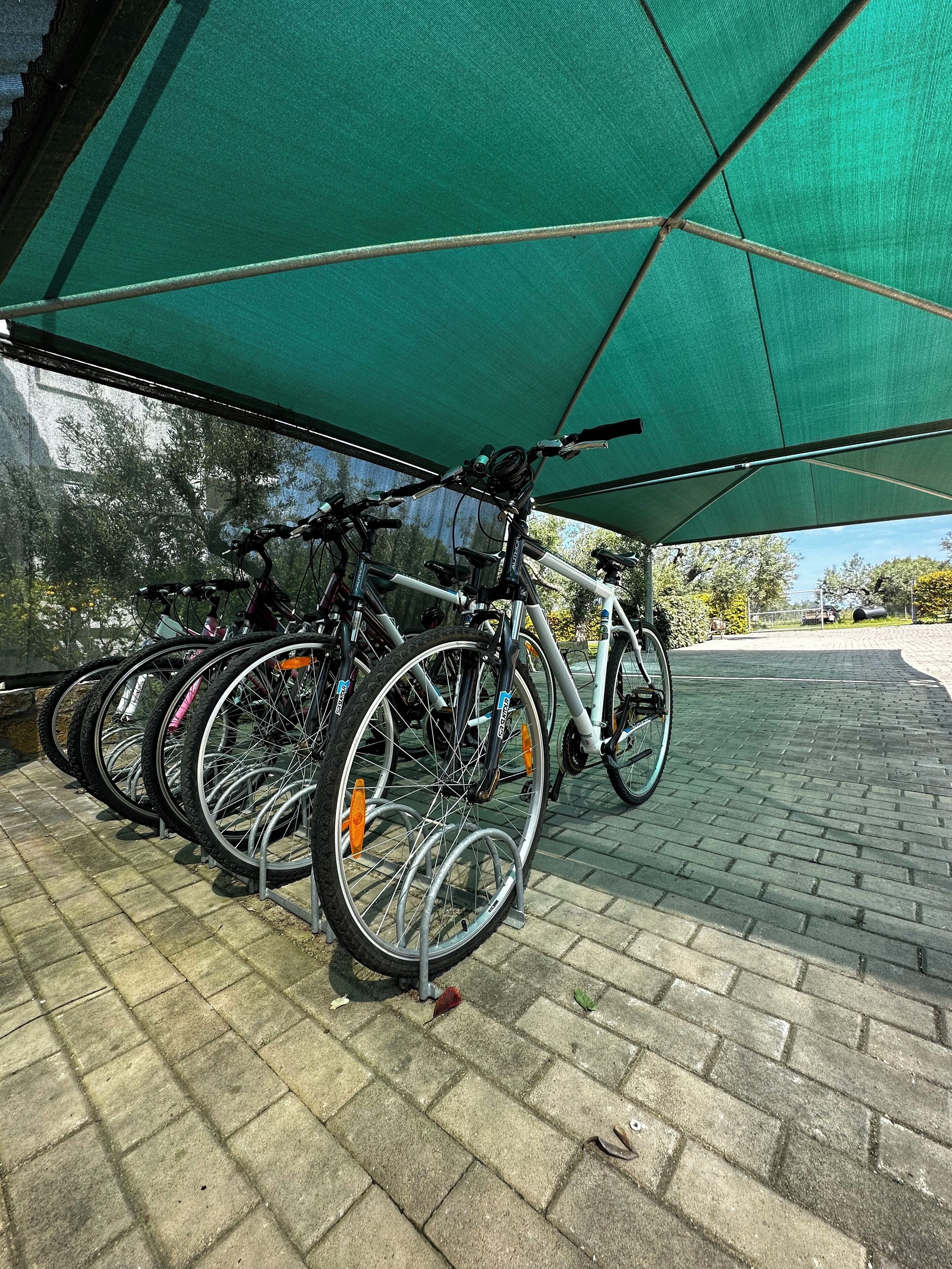 Bicycles parked under a green canopy on a paved area.