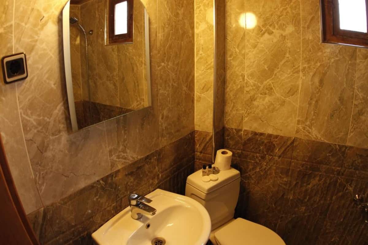 shower, free toiletries, hair dryer, slippers