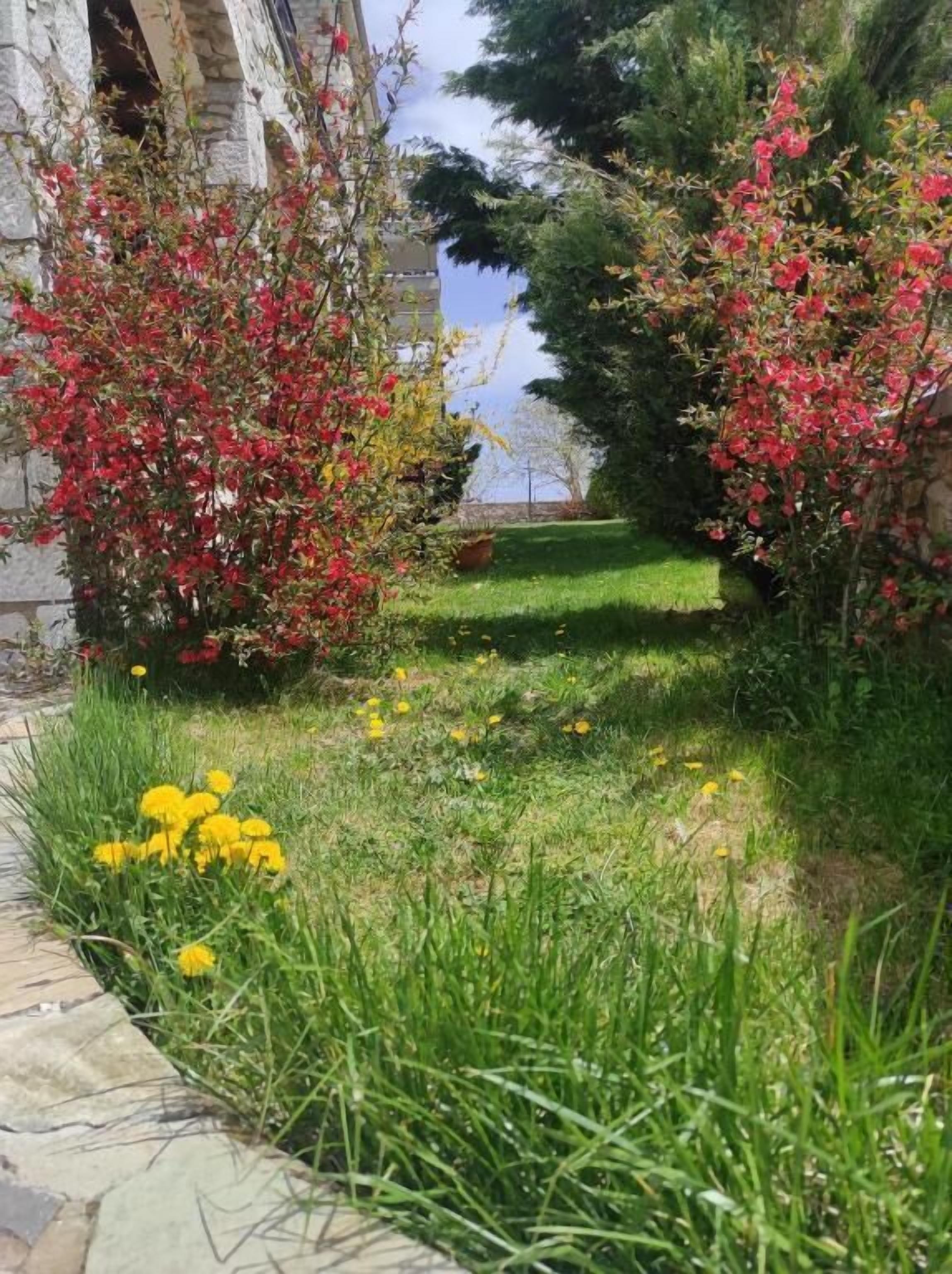 A garden with a stone pathway leading to a building entrance.