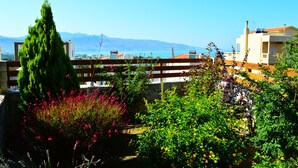 Jardim