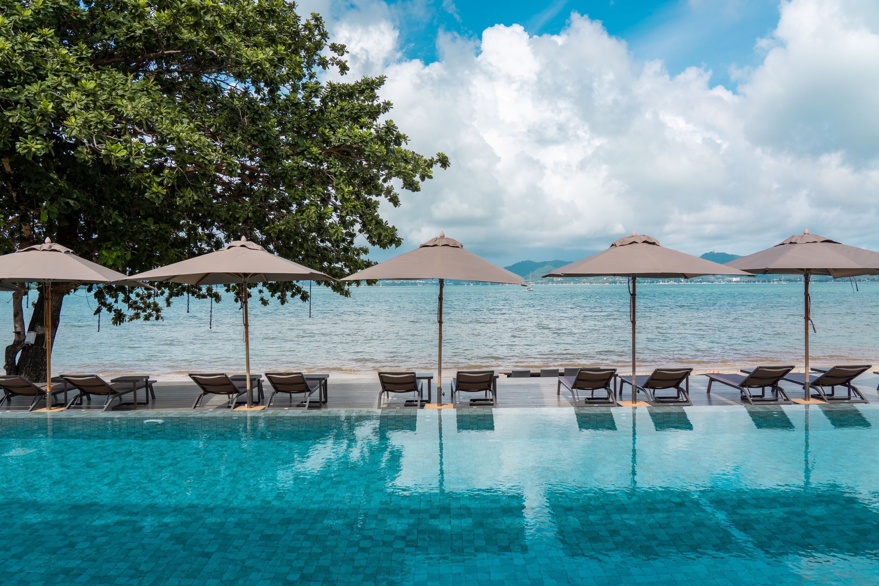 A pool with lounge chairs and umbrellas, a tree, and a view of the sea.