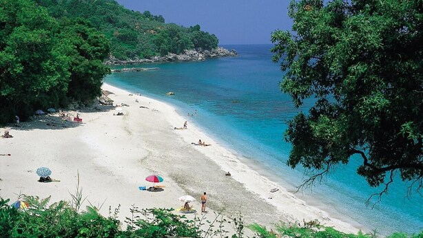 Una playa con aguas turquesas cristalinas, arena blanca y frondosos árboles verdes.