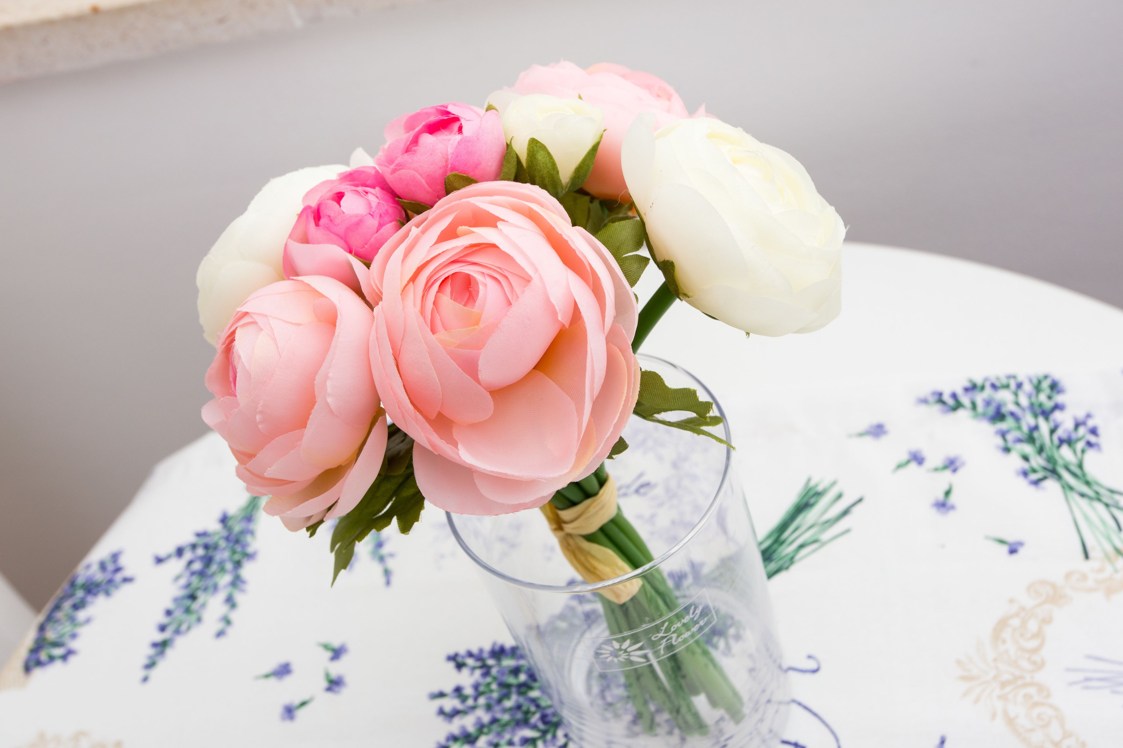 Foto - Guest House Ćuk